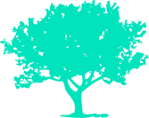 Natural estudio U/X