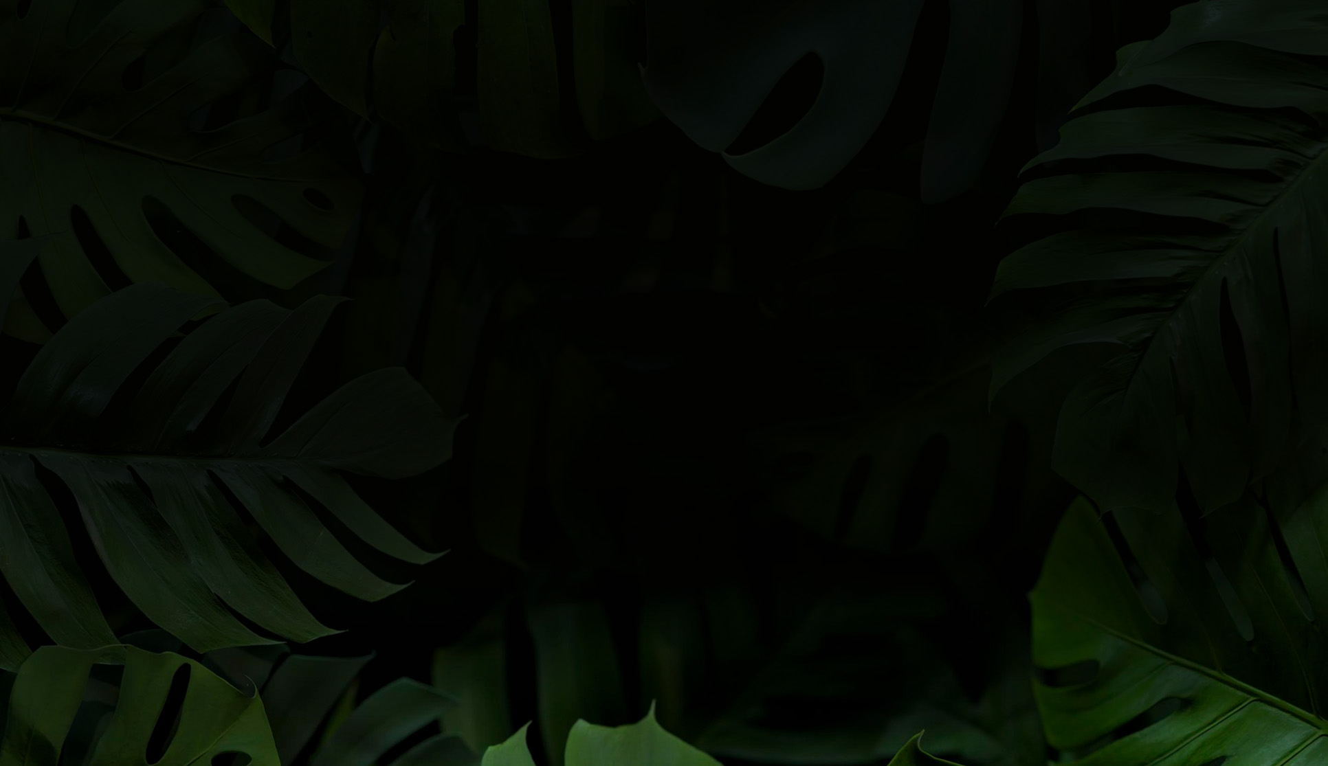 Natural estudio U/X